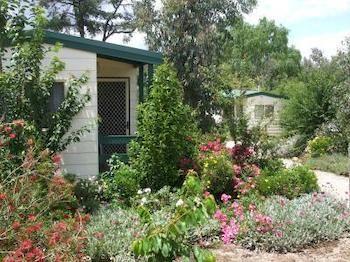 Beechworth Cabins Екстериор снимка